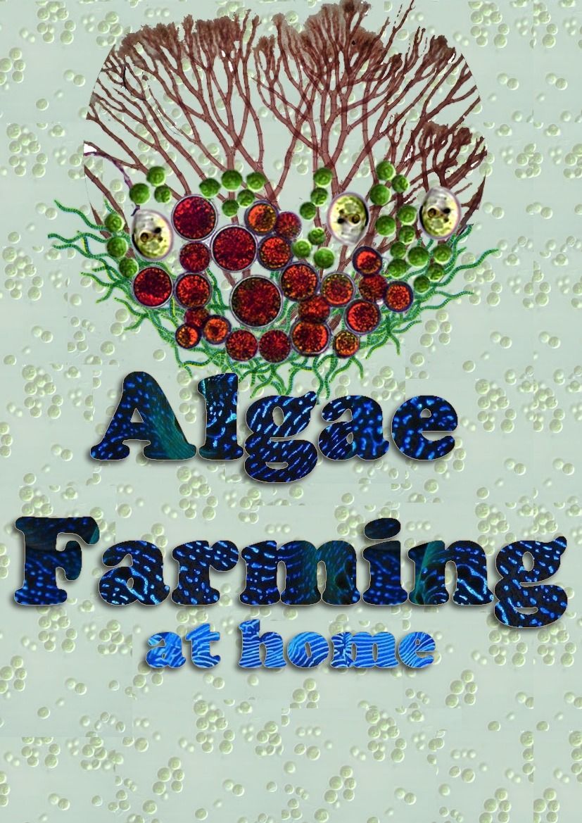 TheBookTweeters's tweet photo. Unlock the potential of algae and transform your home into a green oasis with "Algae Farming at Home"! πΏ Discover practical tips and expert techniques to cultivate & utilize algae in your daily life. #DIYFarming #Sustainability #HomeFarming
https://t.co/AnsM8oiwGi -- https://t.co/2gNPw90sKM