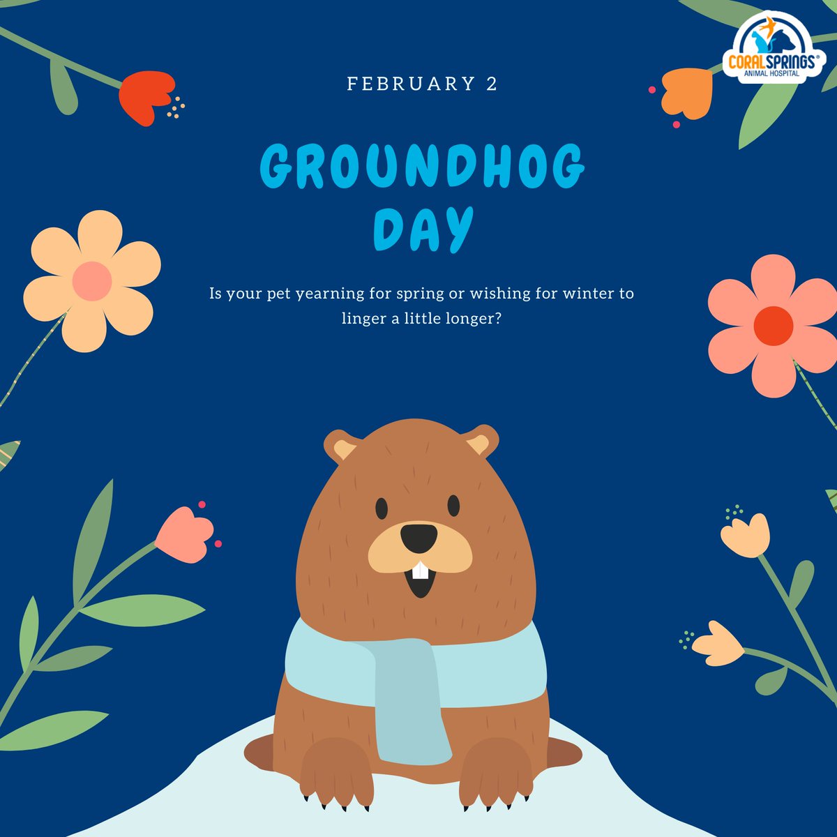 CSAnimalHosp's tweet image. Happy Groundhog Day! Is your pet yearning for spring or wishing for winter to linger a little longer? ✨
