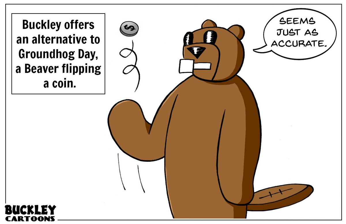BuckleyCartoons's tweet image. #GroundhogDay #Alternate #Beaver #Coin #Flip #Cartoon #Art