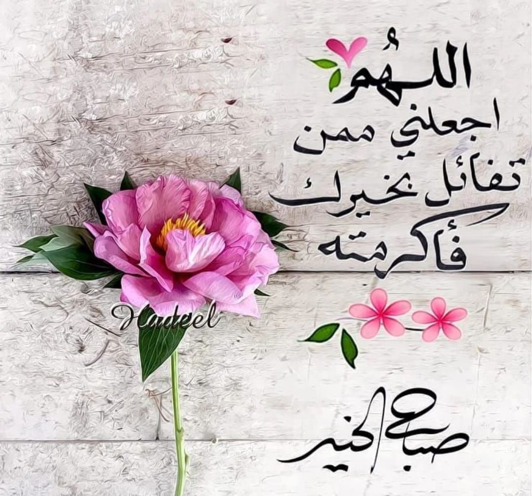 روائع وفنون tweet media