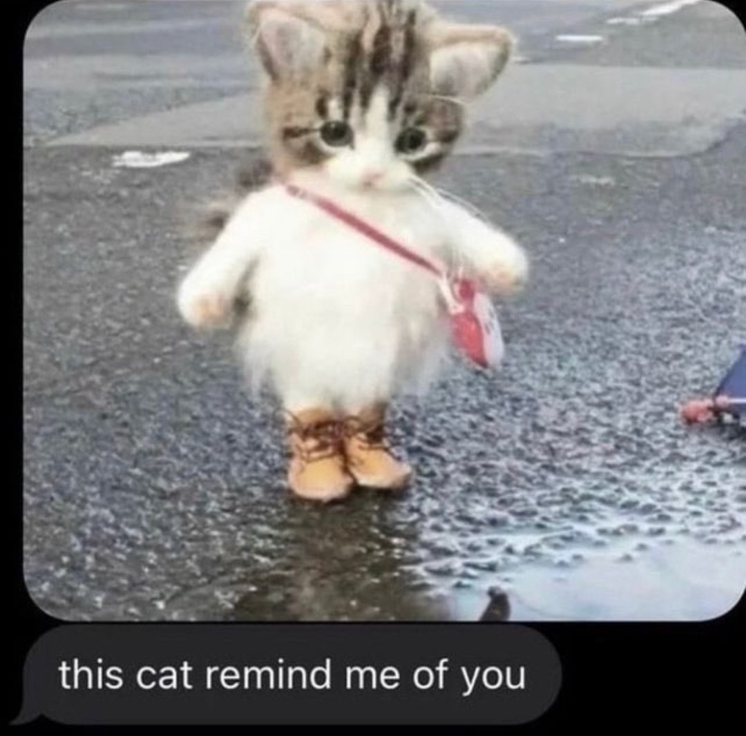 Catsillyness's tweet photo. https://t.co/HoTE79g2LS