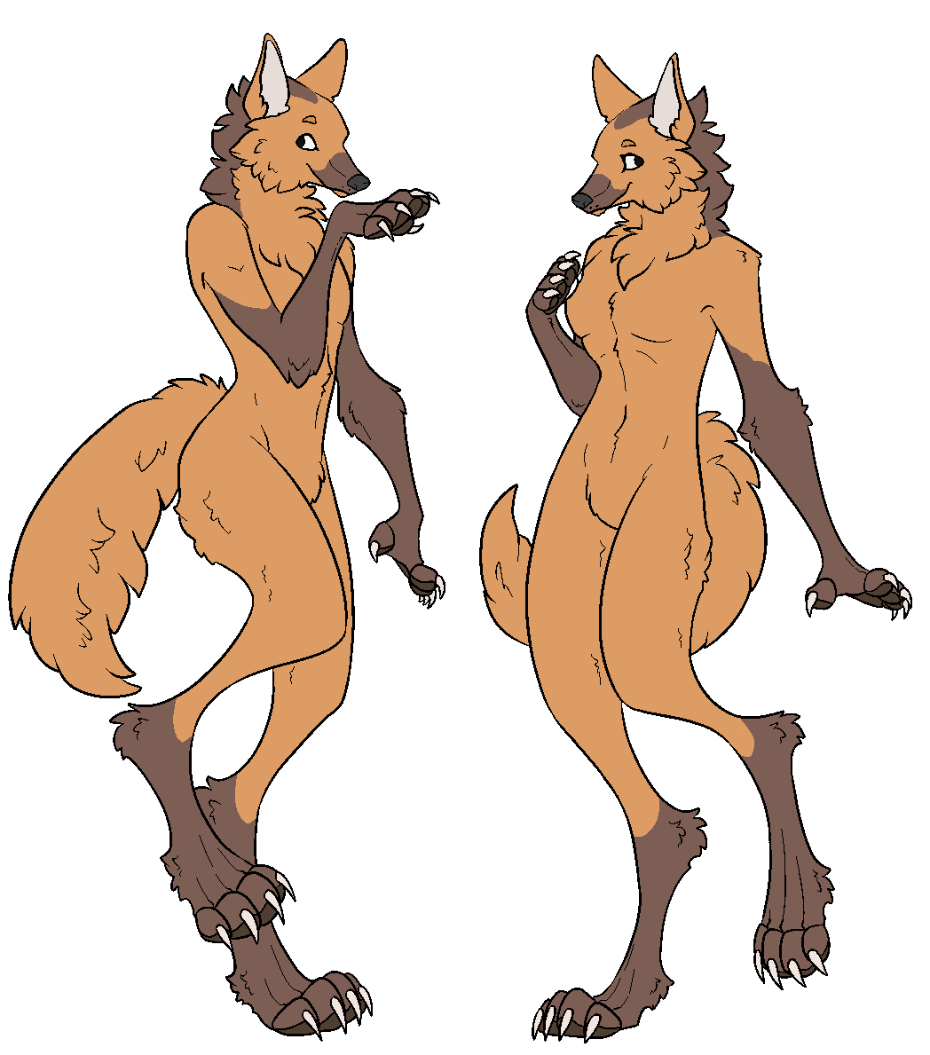 AberrantReptile's tweet photo. @riverfluff Here's my leggy boy. https://t.co/oWknwVH5Sh
