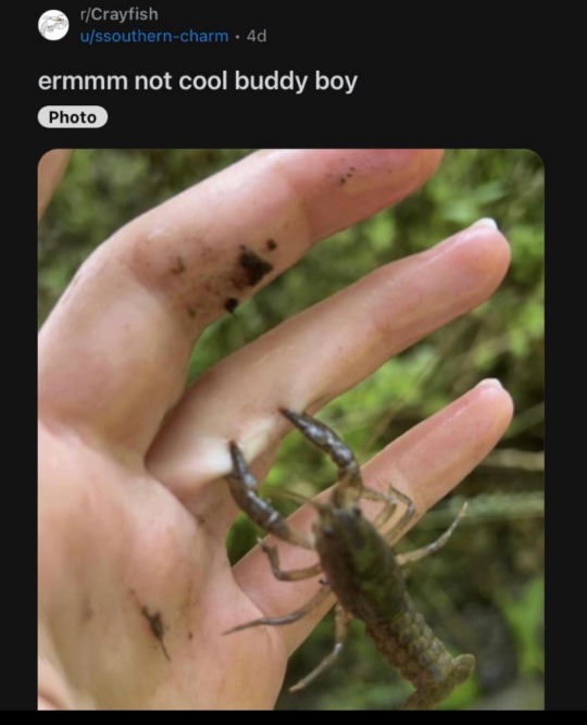 Isaac 🐸 tweet media