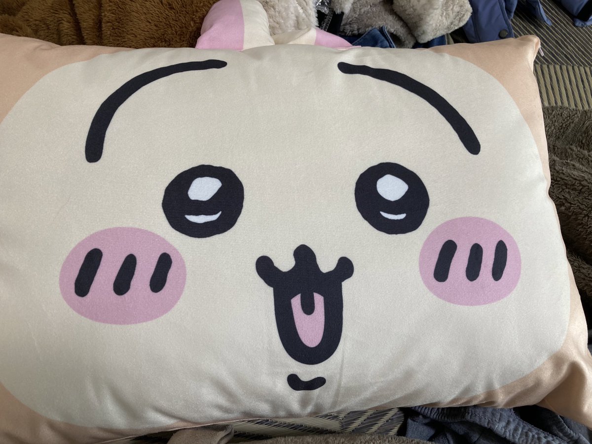 はなはなはな (@jackthemaomao) / Posts / X