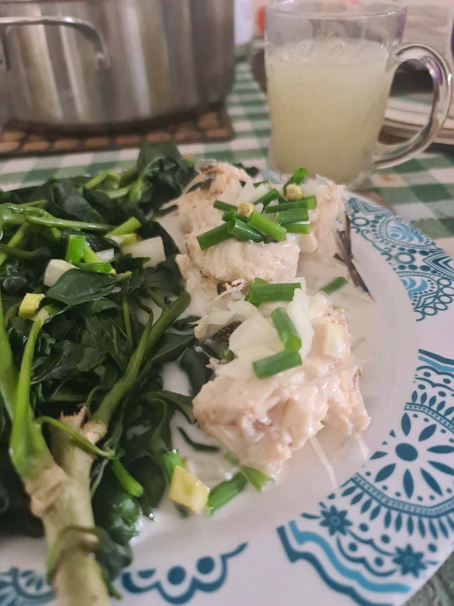 PoskyL's tweet photo. Come join for a feed #Snapper #Belez #Lolos #Suz https://t.co/JwvCub6fMj