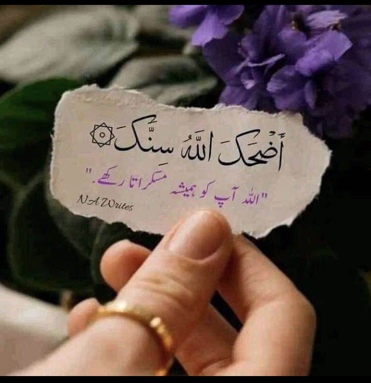 Assalam o alaikum…! 

May strength and solace find its way to those you hold dear.

Stay happy and keep shining 

#GoodMorningEveryone #SaturdayVibes #ArrestSudhirChaudhary #ArrestSudhirChaudhry #CervicalCancer #poonampanday #PoonamPandey