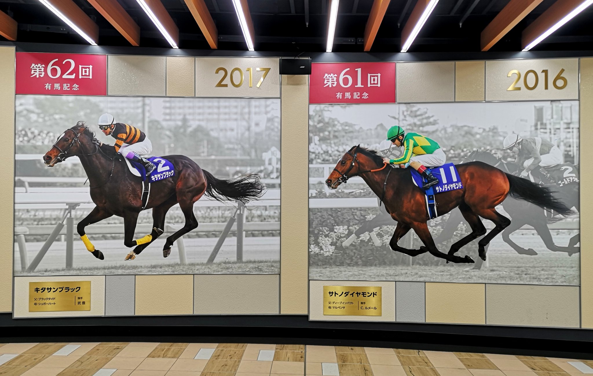 トウカイテイオー　有馬記念優勝パネル トウカイテイオー 有馬記念優勝パネル 61HSu9SnUCL._UF350