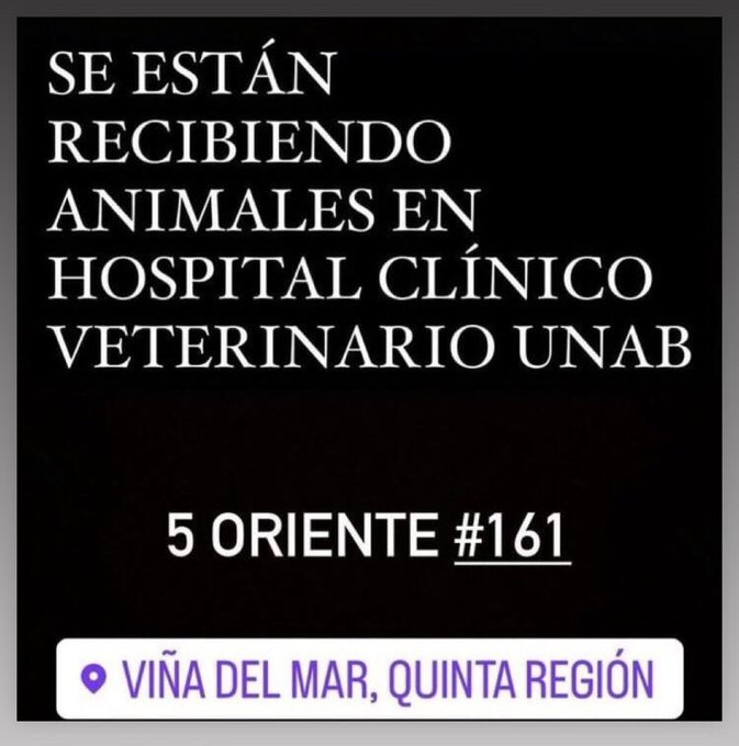 Se están recibiendo animales en Hospital Clínico Veterinario UNAB. 5 Oriente #161 Viña del Mar