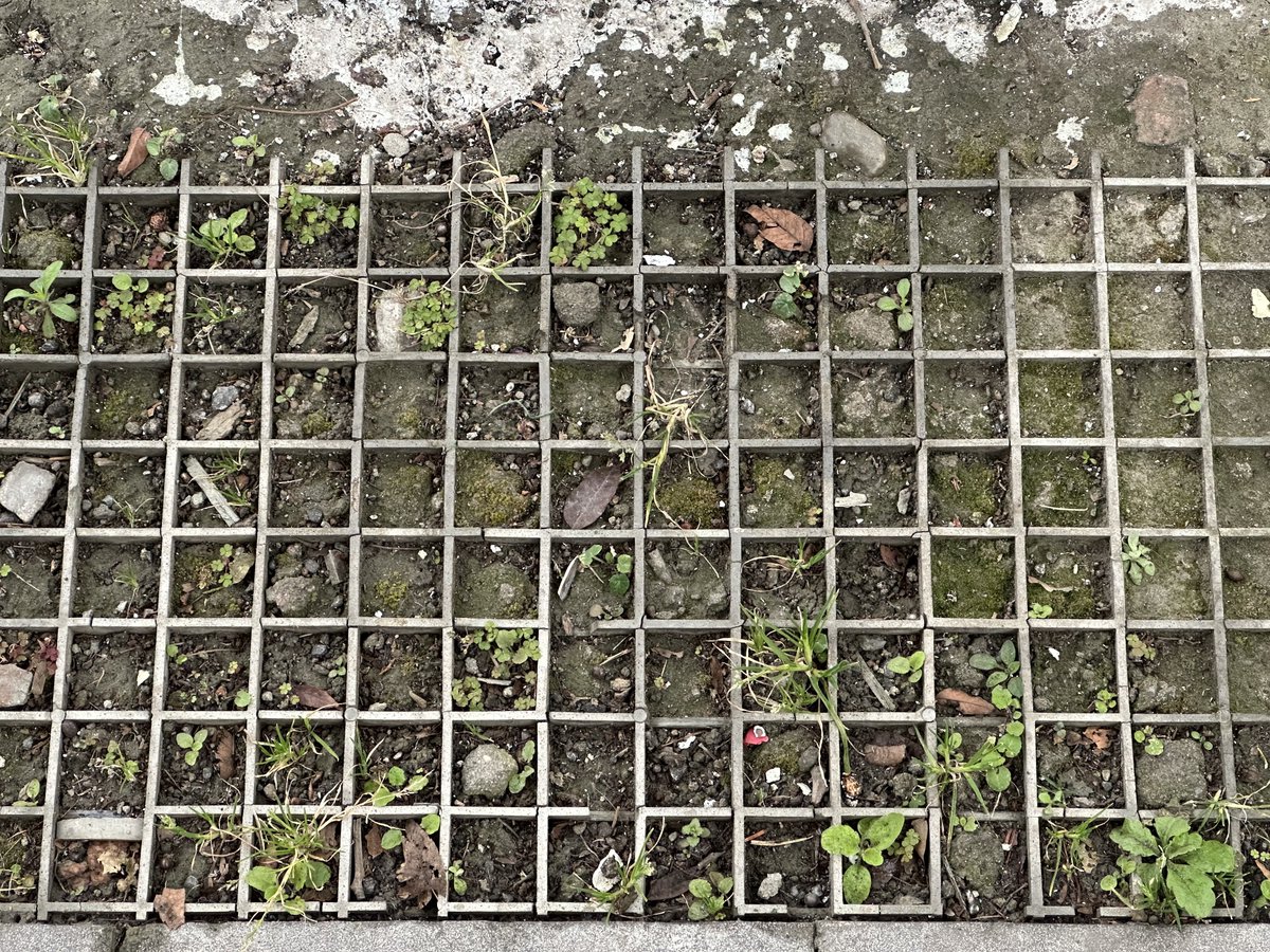 YeHangHarry's tweet image. Taked some interesting ground material reference today！
#TextureReference #EnvironmentArt 
#Ground #Mud