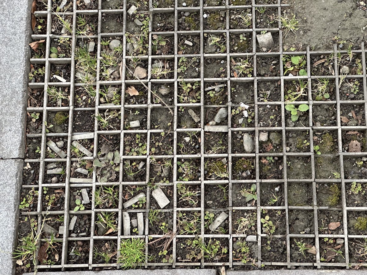 YeHangHarry's tweet image. Taked some interesting ground material reference today！
#TextureReference #EnvironmentArt 
#Ground #Mud