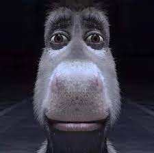 cuando me doy cuenta de q hablé de más con una persona chismosa