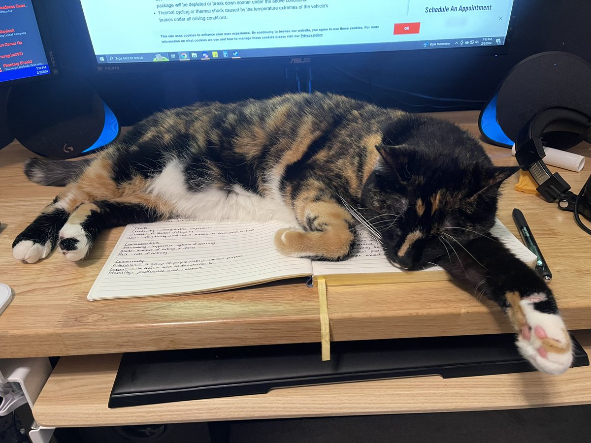 Boog, I’m trying to be a professional here and do my homework. You have so many other places to sleep. 😤😭