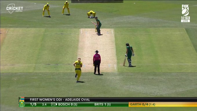Ripper from Beth Mooney... 📹 Credits: Twitter/cricketcomau