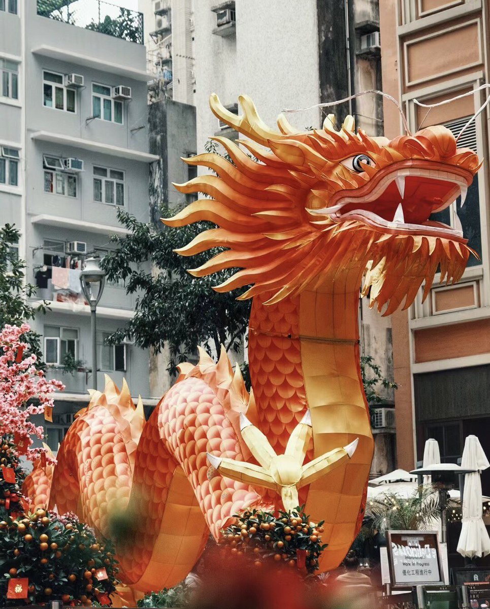At this time of year, a walk to Lee Tung Street in Wan Chai is almost a designated activity. The whole street is decorated with red lanterns, and you can feel the bustling atmosphere of the New Year again.