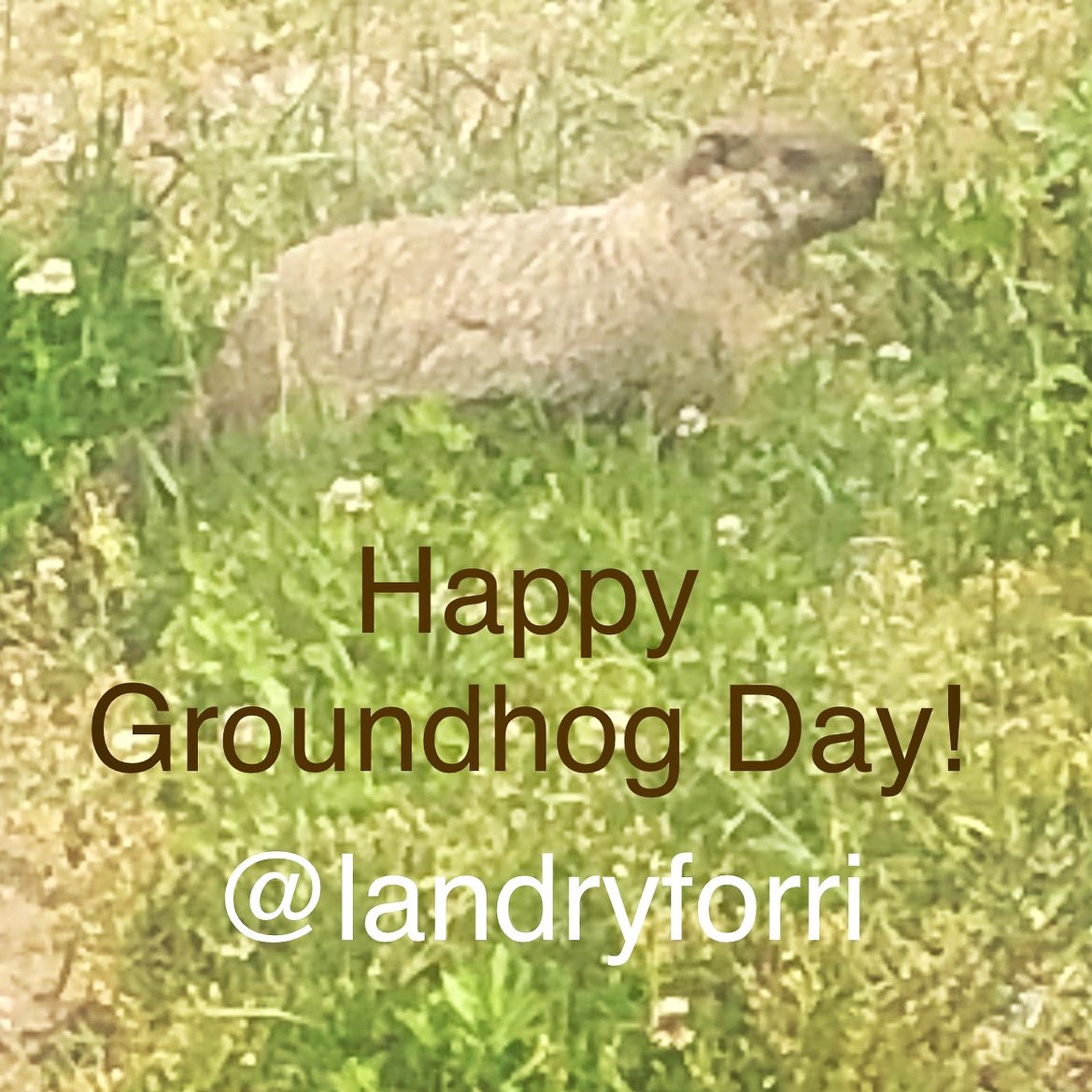Happy Groundhog Day!
#LandryForRI