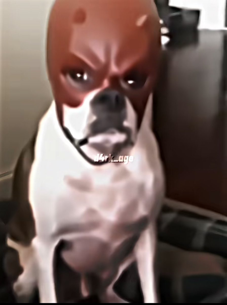 CHS Barstool tweet media