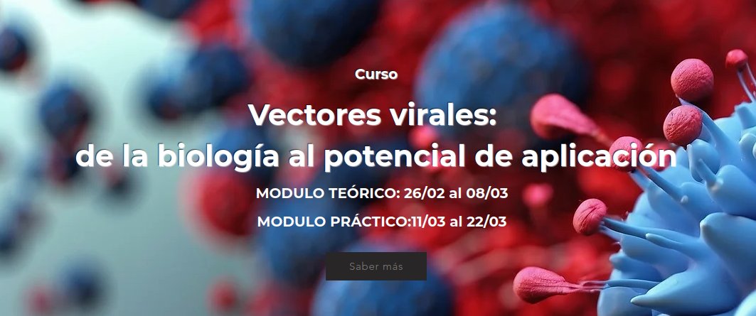 posgradobiotec1's tweet photo. Curso: "Vectores virales: de la biología al potencial de aplicación"
MODULO TEÓRICO: 26/02 al 08/03
MODULO PRÁCTICO:11/03 al 22/03

https://t.co/8ESZsNWzyu

#Biotecnologia 
#biotecnologiauy https://t.co/47c1L6aaEJ
