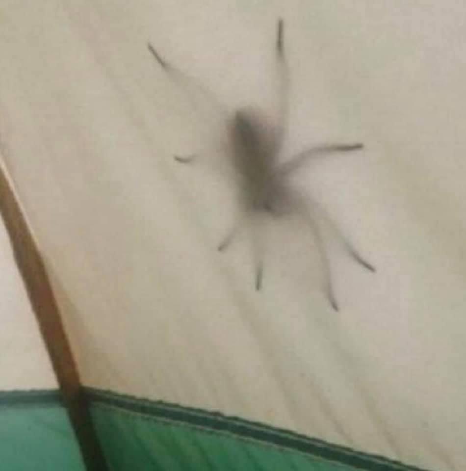 InformaCosmos's tweet photo. Primer día de campamento y último también. https://t.co/vcZLNq0pQ0