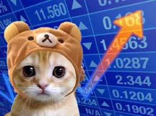 catwifhateth's tweet photo. The market works in the $catwifhat's favour. https://t.co/ZkEAMBpwfP