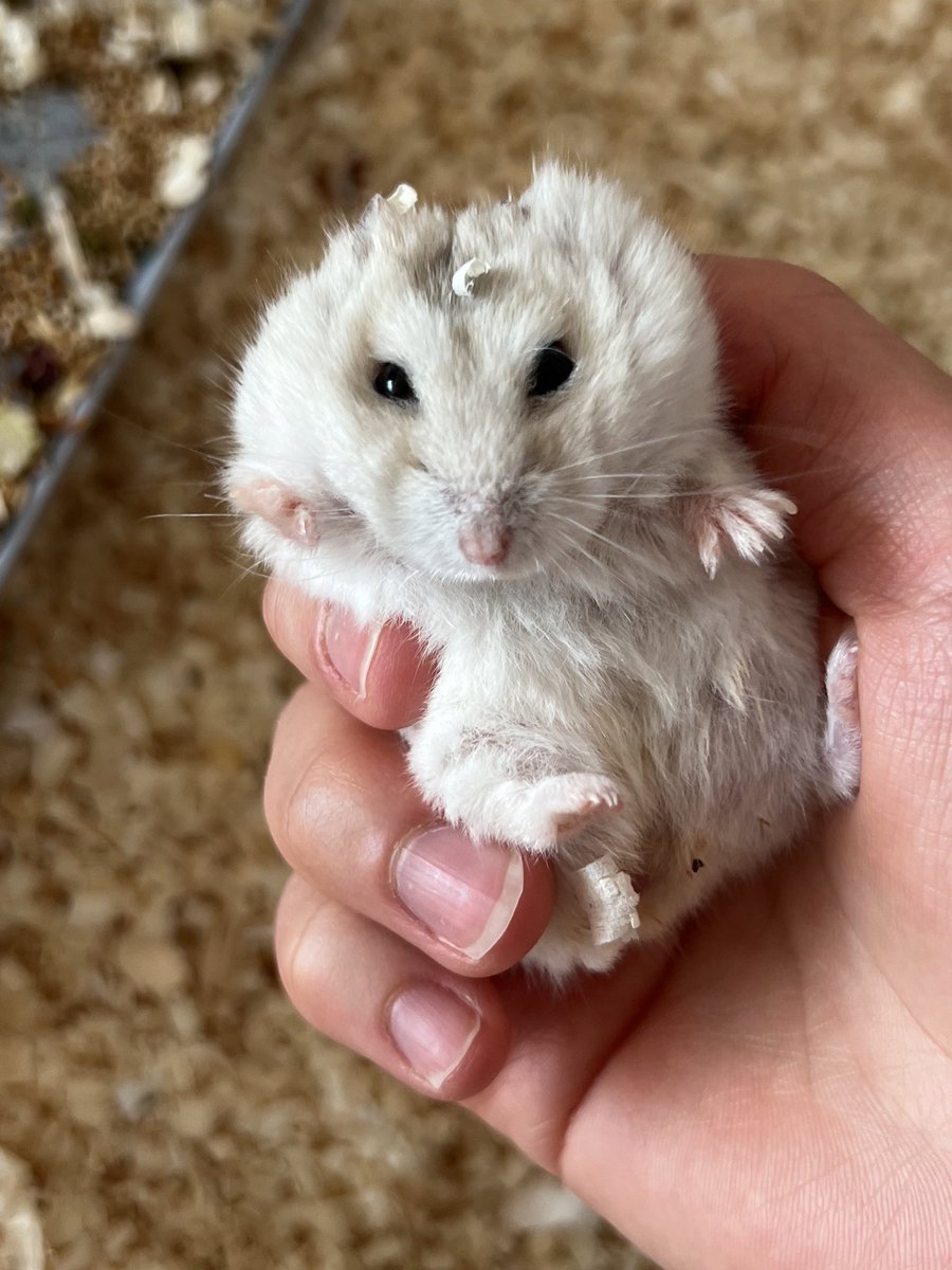 왜이리 조그맣니