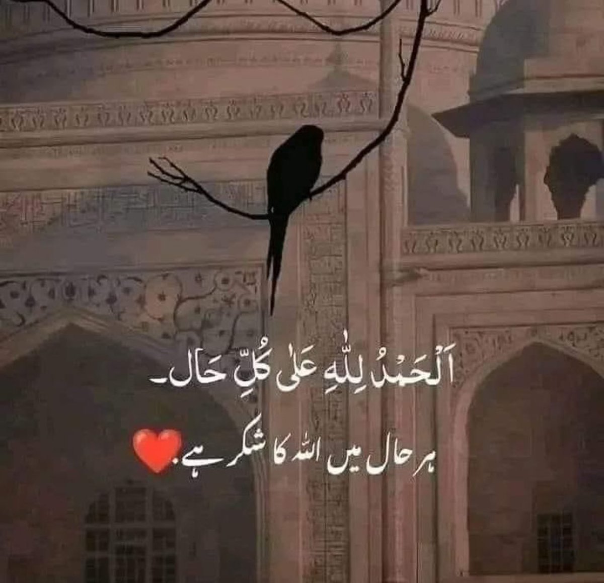 السلام علیکم 
😇🌺
Good morning 🌻

صبح بخیر۔ 😇😇

ہر حال میں اللّٰہ کا شکر ادا کرنا چاہیے۔ 

ہ تعالیٰ نے قرآن مجید میں شکر کی اہمیت کو بہت زیادہ اجاگر کیا ہے شکر کے متعلق قرآن پاک میں بہت سی آیات ملتی ہیں اللّٰہ تعالیٰ شکر کرنے والوں کو پسند کرتا ہے اور ناشکری کرنے والوں کو