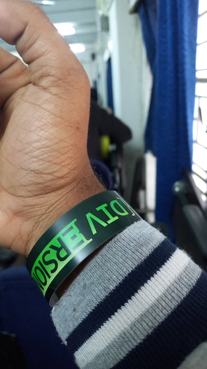 Check in Done #diversion2k24 #teamctrl+c