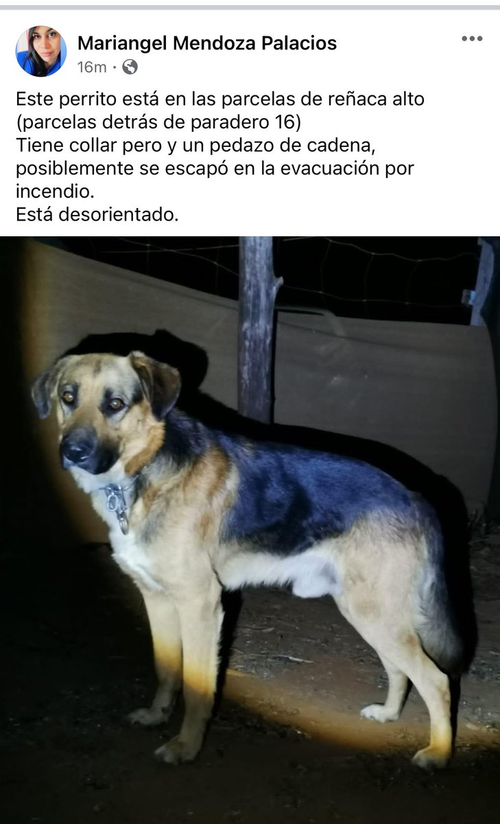 farach1211's tweet image. #incendio #IncendioForestal #reñaca #VinadelMar #reñacaalto