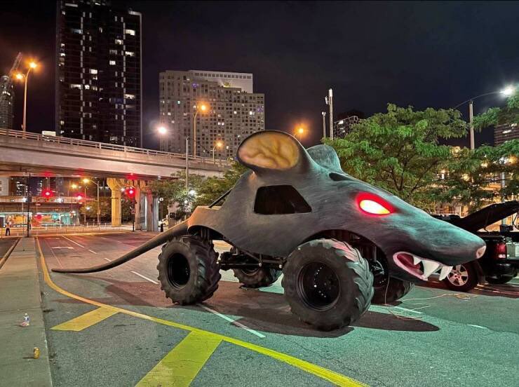 RescueFrog's tweet photo. For my new car for the rat race https://t.co/8XkYtUMwFi