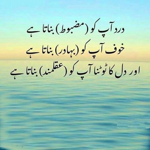 aliabbasi7755's tweet image. #INDvsAUSfinal #INDvAUS #CWC2023Final
#Abhisha #ViratKohli𓃵 #BabarAzam𓃵 #Ronaldo #Abhiya #Elvisha #bigbosstamil7 #BiggbossTamil7
#BBMAs