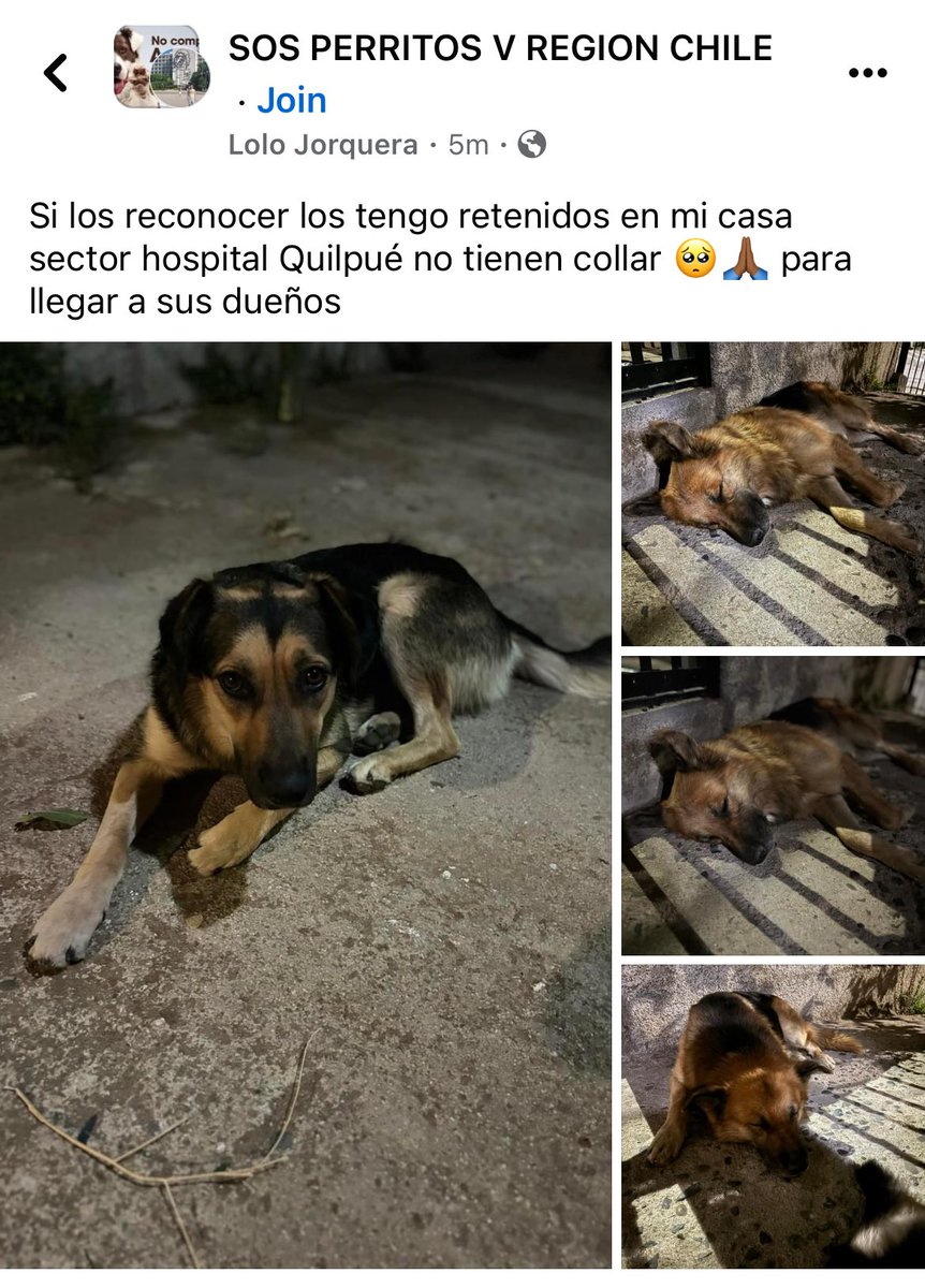 farach1211's tweet image. Encontrados en #Quilpue #incendio #IncendioForestal