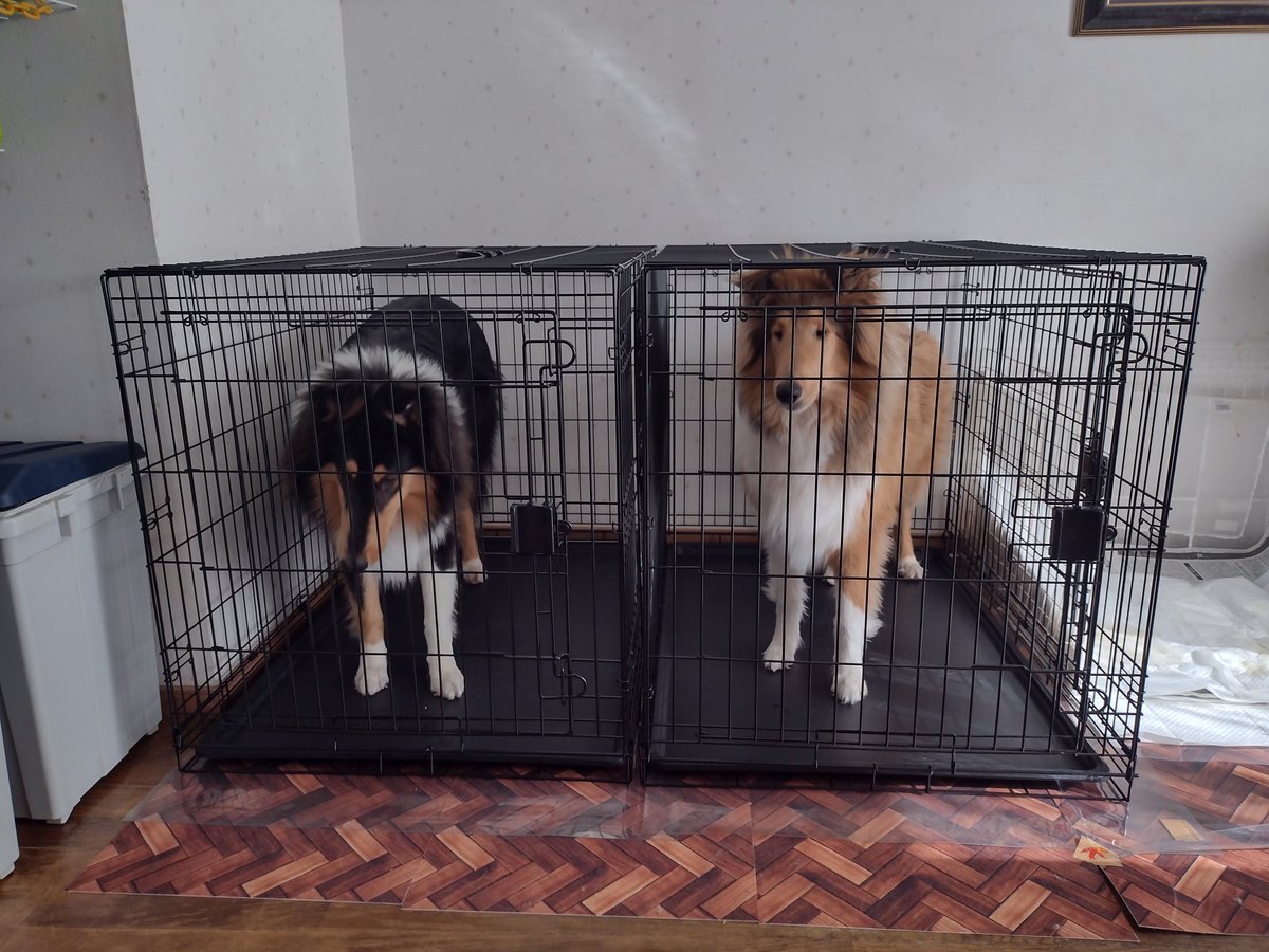 大きくなったので、個室にグレードアップ