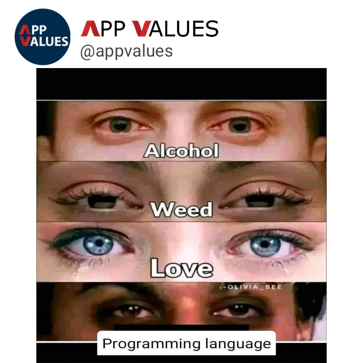 App_values's tweet photo. pain in eyes

#html #programming #app_values #programmer #programmers 
#css #fullstackdeveloper #fullstack 
#tech #techmemes #memes #cybersecurity #dataanalytics #andrioddevelopment #apps #project 
#btech #degree #finalyearproject https://t.co/7ovNvT6VvR