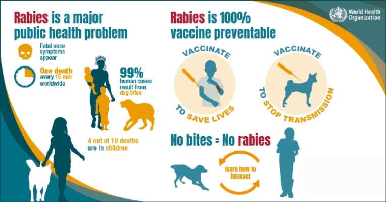 TeleMedrix's tweet photo. Rabies thread.
With the increasing number of dog owners and stray dogs.
1. Is your dog vaccinated.
2. What should you do incase you get a dog bite.
An average of 14,865 dog bites 36 rabies deaths and there could be more annually.
#healthandwellness 
@MinofHealthUG @WHOUganda https://t.co/TcMq4IpMNs