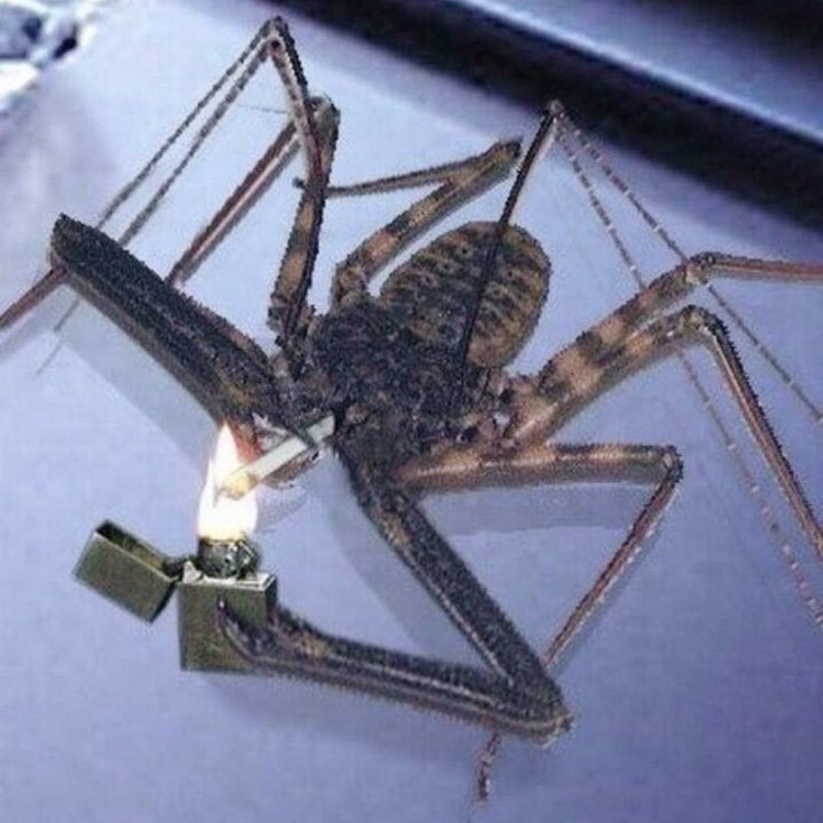 AdictoMate's tweet photo. @Cab_rakan Me tienes que estar jodiendo oe 💀💀 https://t.co/bA0A22IgM4