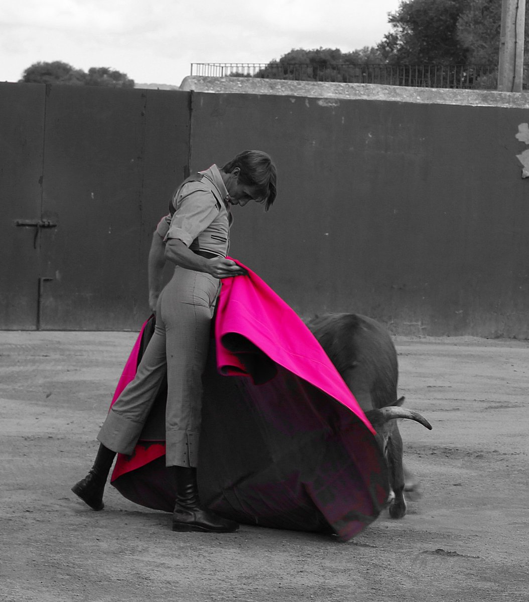 Buenos días a todos.......retomamos la cuenta después de un tiempo , un abrazo