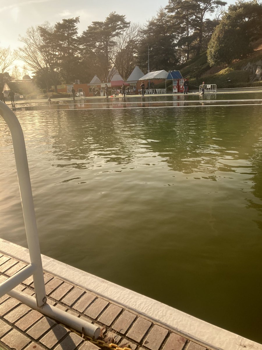 watarutoshizen's tweet photo. 今日は、いつものオレ金とピンク
花粉ト枯葉で肩凝りになったー
♨️いきたい！ https://t.co/tLPVItxrVq