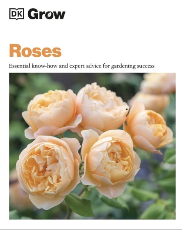 Roses are among the most versatile adaptable and beautiful of all garden plants- they stand winter cold and summer heat; modern selections flower 6-8 months of the year. It’s time to plant more- find out which and how in my new book: it’s a simple guide perfect for beginners!