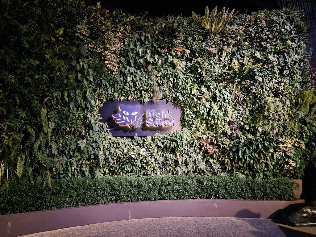 laritorhacs's tweet photo. Diário de Singapura
Eu não vim para Singapura apenas para turistar. A bem da verdade eu vim lara estudar na NUS (National University of Singapore) por uma semana. Mas isso não me impede de conhecer a cidade nos meus horários livres. A noite fui conhecer o safari noturno https://t.co/cVH9bWOURH