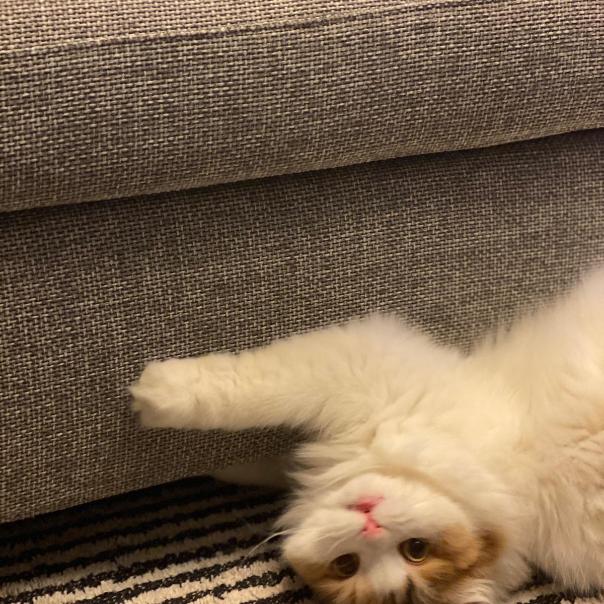 My baby is too good to love anyway😍🥰