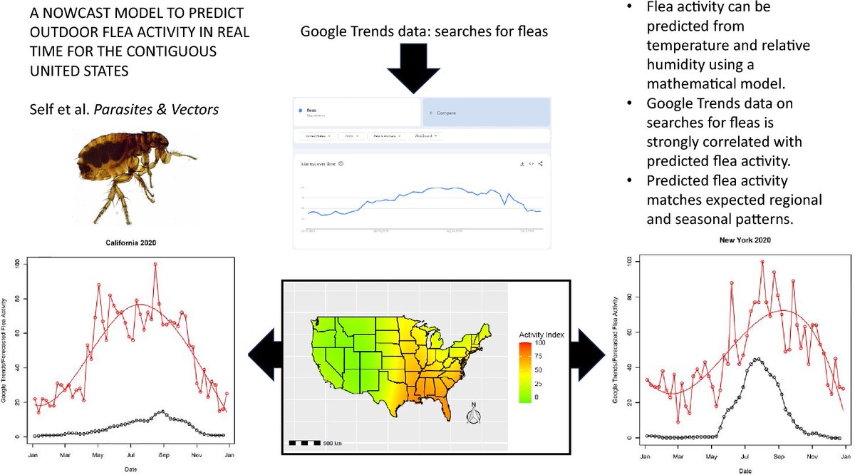 rubueno10's tweet image. 🛰️ #Fleas are relevant pests causing strong nuisance and disease transmission episodes, and now an interesting model is able to predict outdoor flea activity in real time for the contiguous United States
👉🏻Self et al. (2024): parasitesandvectors.biomedcentral.com/articles/10.11…
#PestControl #VectorManagement