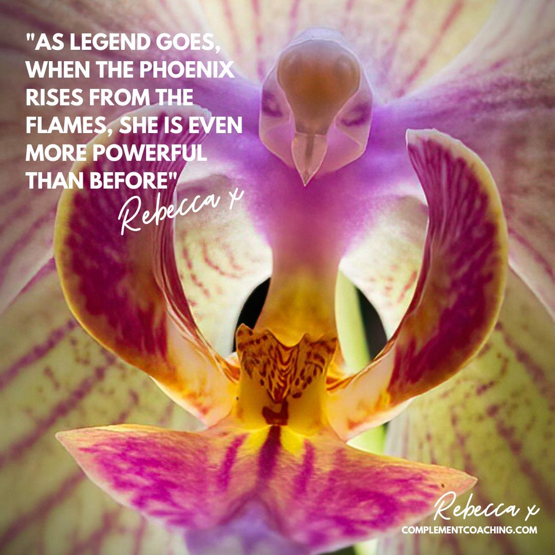 "As legend goes, when the phoenix rises from the flames, she is even more powerful than before" - Rebecca

#coaching
#leadership
#mindset
#leadershipcoaching 
#pinkisawayofbeing