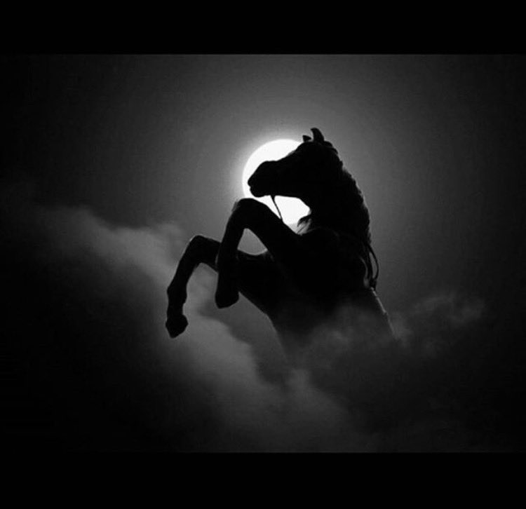 تكفى ……
ليا قلت تكفى قوّم الدنيا عشاني