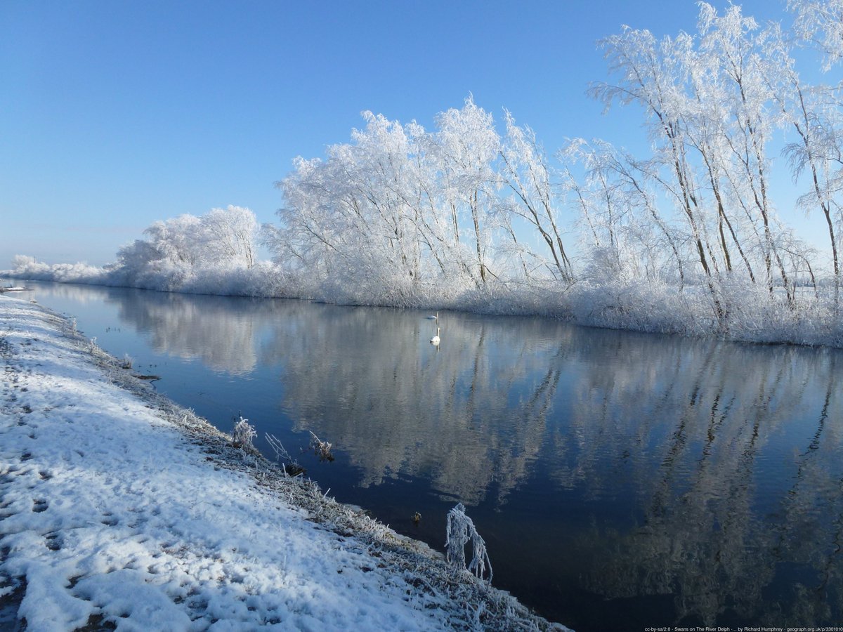 Swans on The River Delph - The Ouse Washes at Welney #Norfolk #England January 2013
geograph.org.uk/photo/3301010
Photo taken in @OSleisure map square TL5393 #GetOutside #nature #winter #drainage @LoveWestNorfolk @VisitWNorfolk @WWTWelney 
@TheFens3 @HerewardCountry @MLC1862