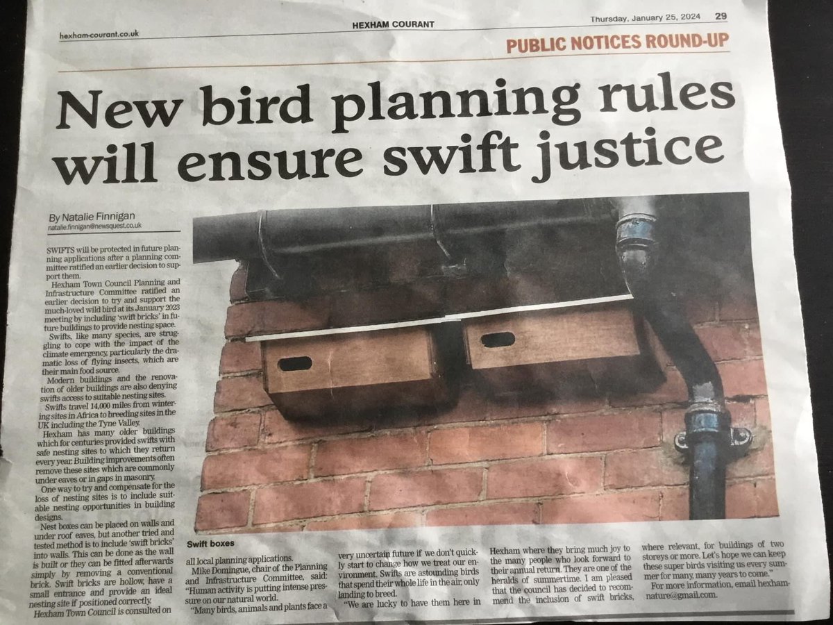 wildchiswick's tweet photo. Good to see another local council planning team requesting swift bricks/boxes in future applications. Can @LBofHounslow do the same please? https://t.co/Z8u5B5XlkY