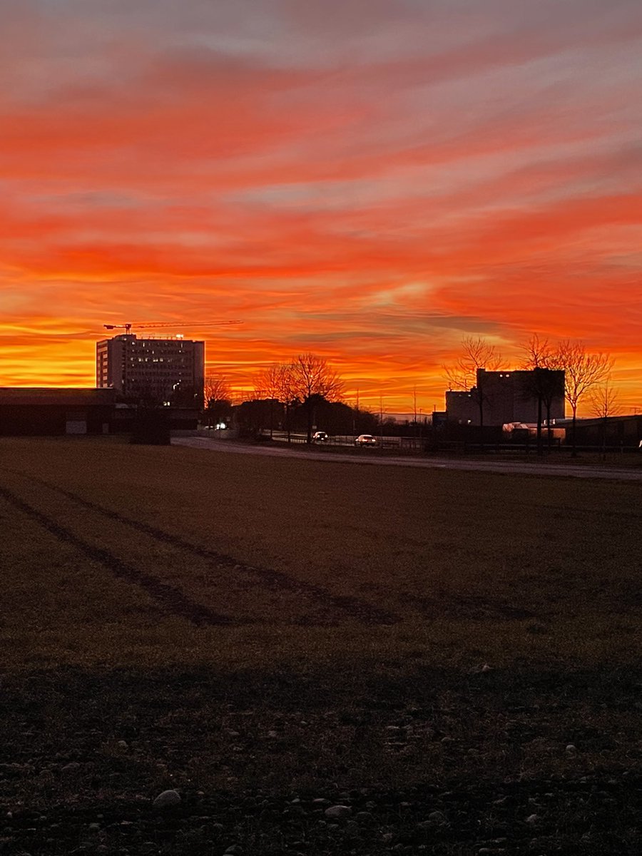 Our <a href="/dsmfirmenich/">dsm-firmenich</a> Swiss 🇨🇭 headquarter in Kaiseraugst on Friday night, while riding my bike back home. #sunset #gravelbike #climateprotection #Bovaer