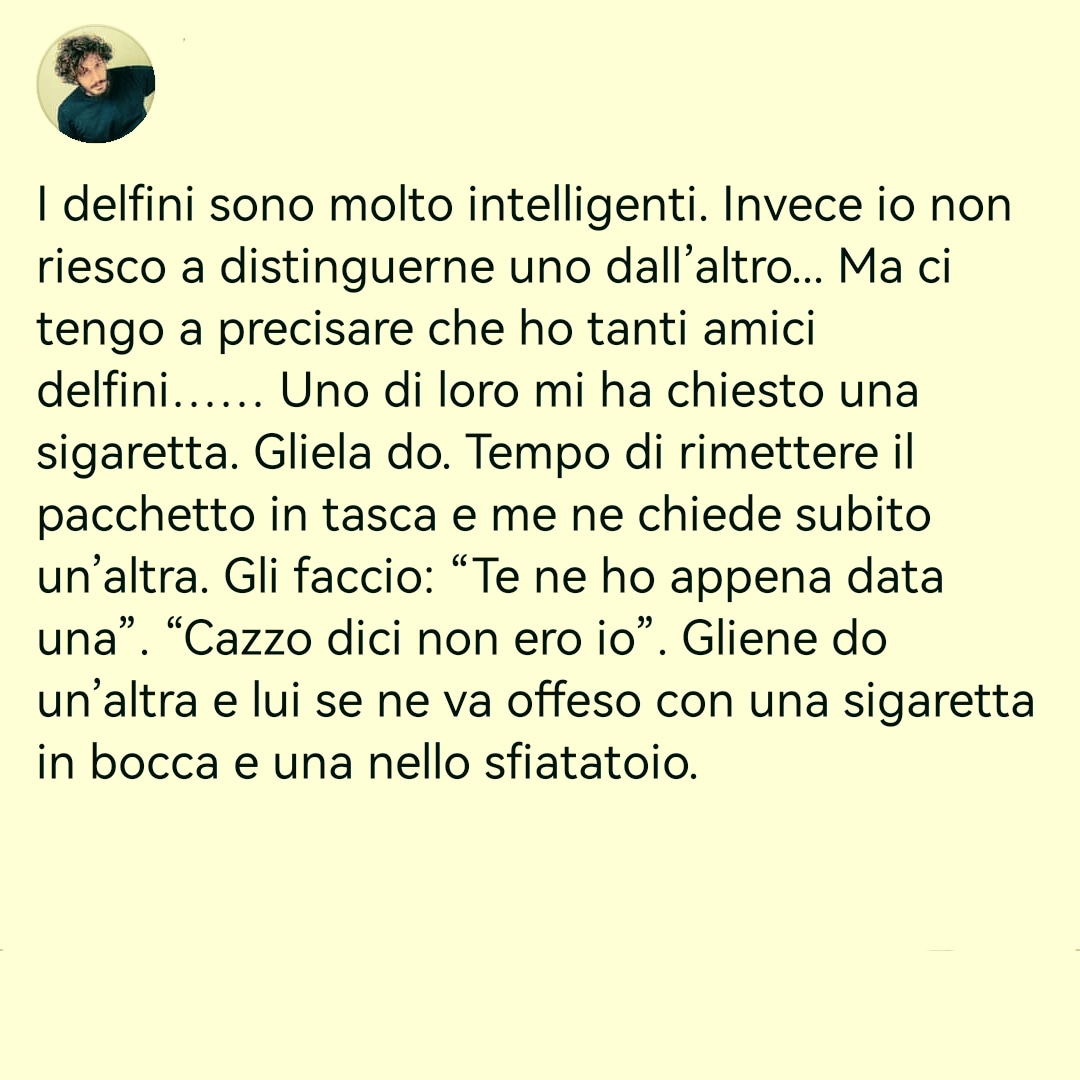 Filippo__Rizzo's tweet photo. #3febbraio #delfini https://t.co/Z50dNvZvCn