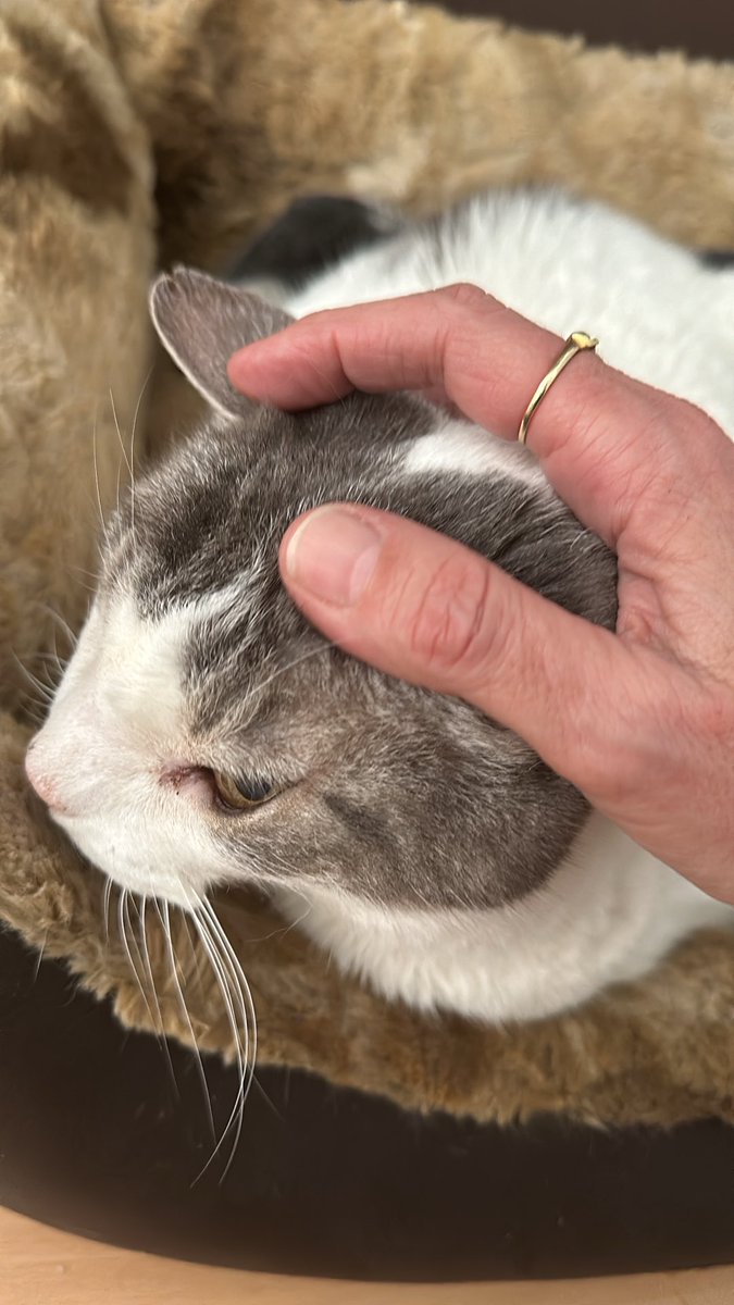 Carla Ritrovato 💚🧡 tweet media