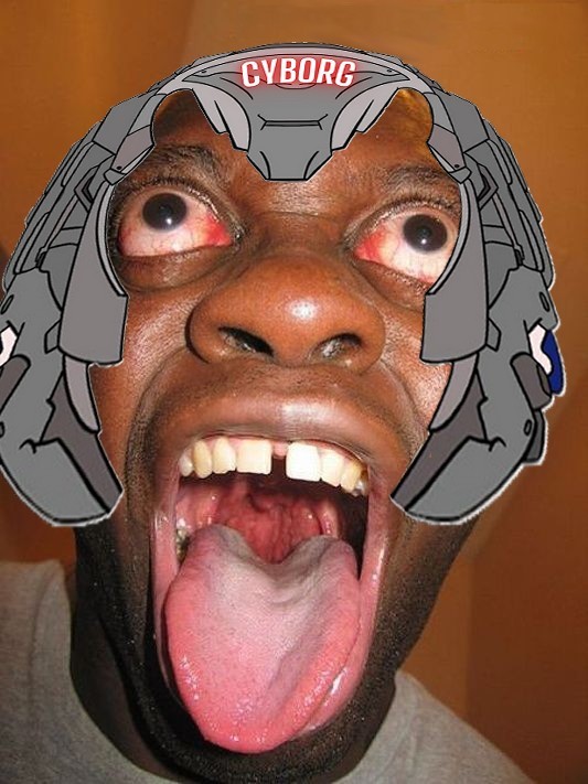 molnaaar tweet media