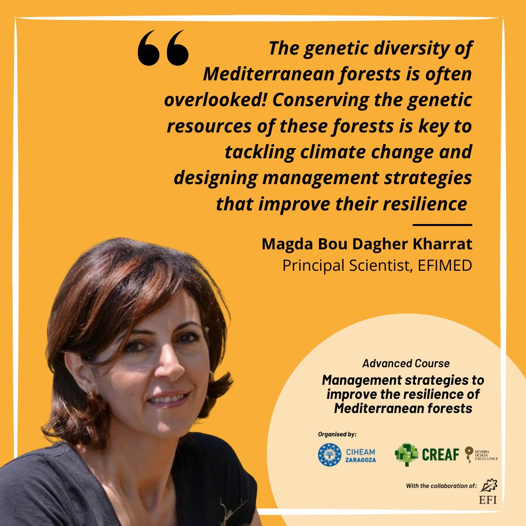 🌳 Management strategies are urgently needed to enhance #ForestResilience in the #Mediterranean. Join us for an advanced course given by leading international experts such as @magdaboudagher from @efimedfacility ℹ️ edu.iamz.ciheam.org/MediterraneanF…