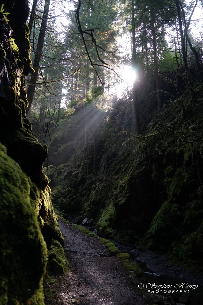 The Sun, bursting through the trees at Pucks Glen outside Dunoon

Go visit, you'll love it - I promise you or you can have your money back!! 🫣

#PucksGlen #BenMoreGardens #Dunoon #Argyll #Scotland